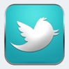 large twitter icon